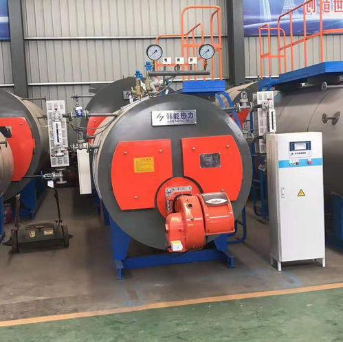 平果燃?xì)鉄崴仩t 廠家直銷，品質(zhì)可靠，價(jià)格實(shí)惠